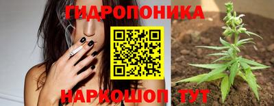 крисы Тулун
