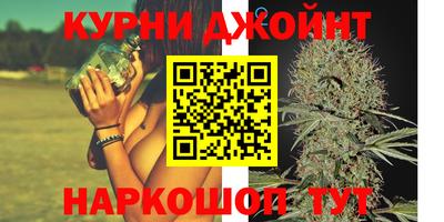крисы Тулун