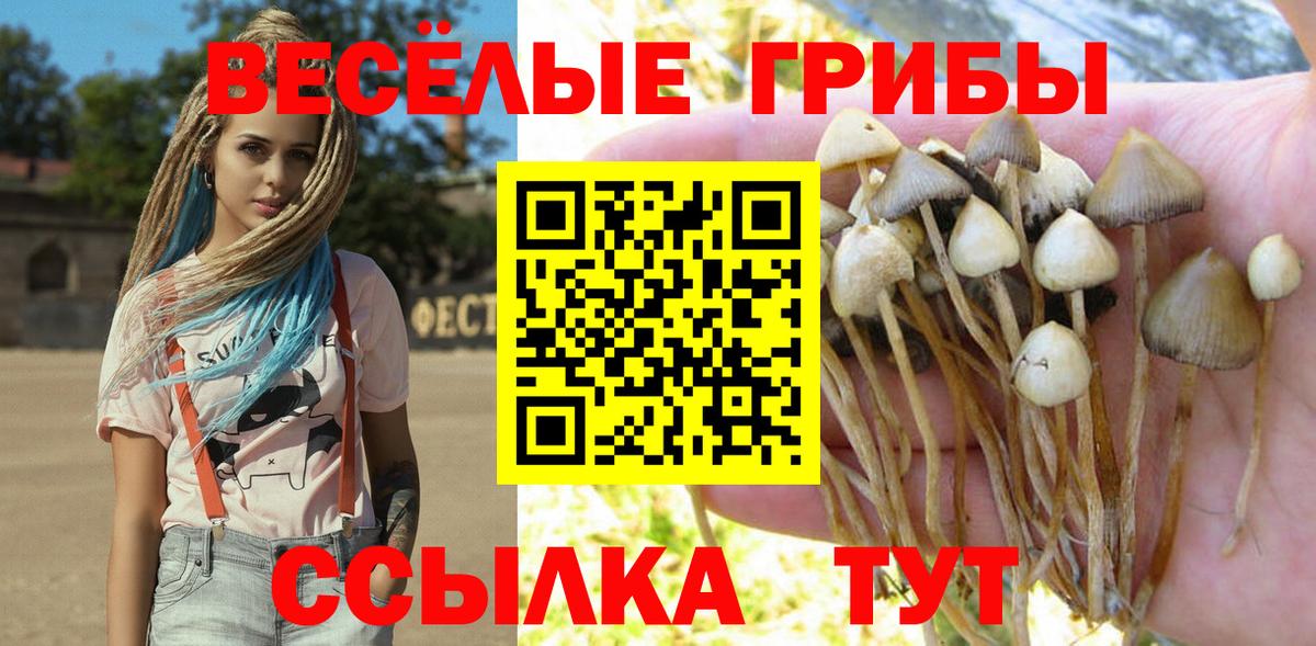 Белорецк  Псилоцибиновые грибы MAGIC MUSHROOMS  Вход с VPN 